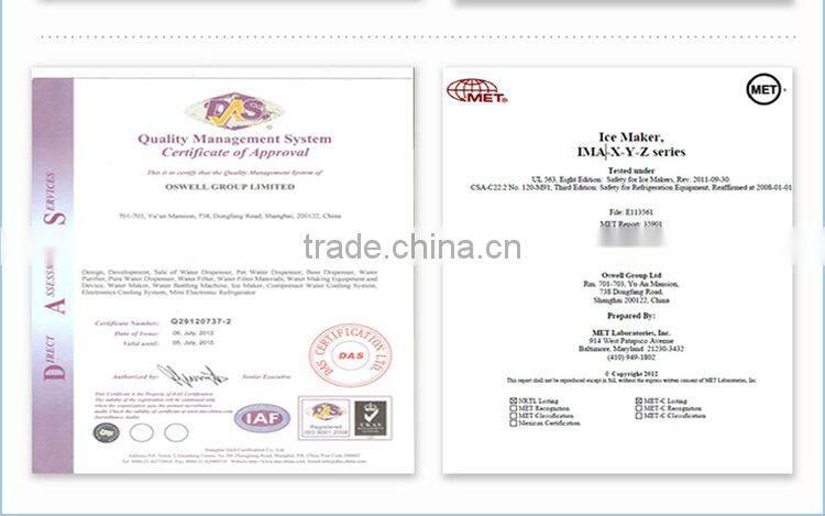 Water dispenser with ice maker