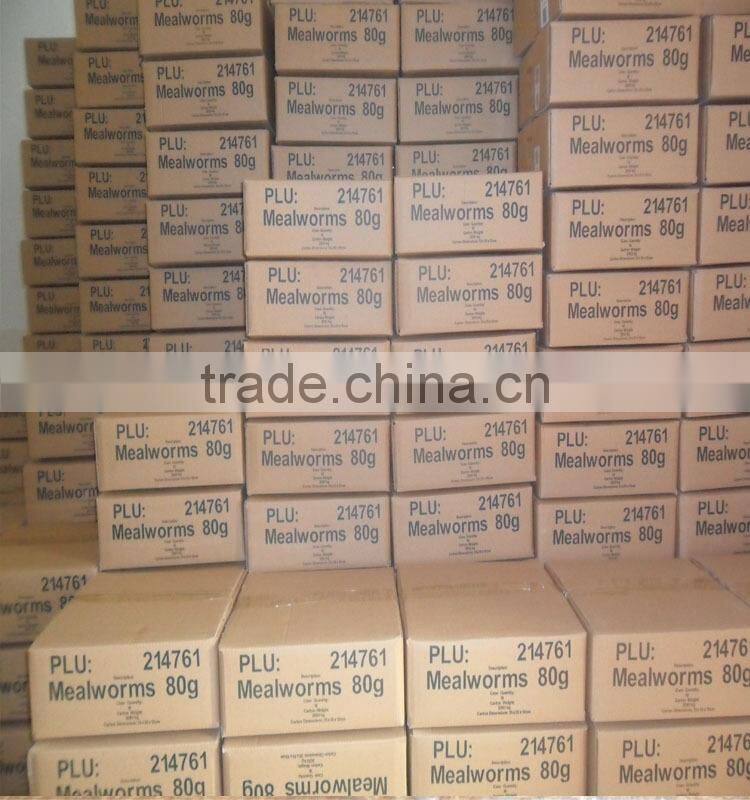 Poultry feed raw materials dried grasshopper