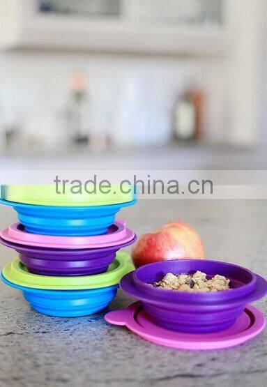 Collapsible Silicone Food Container