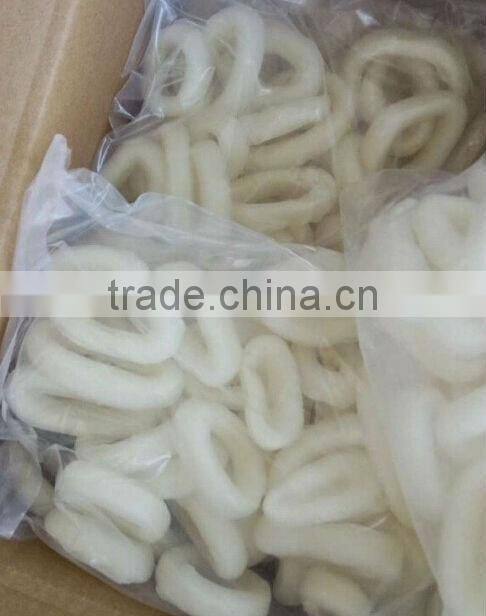 Frozen IQF Squid Ring