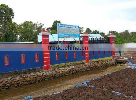 Sell Gracilaria, Eucheuma Spinosum And Eucheuma Cottoni Seaweeds