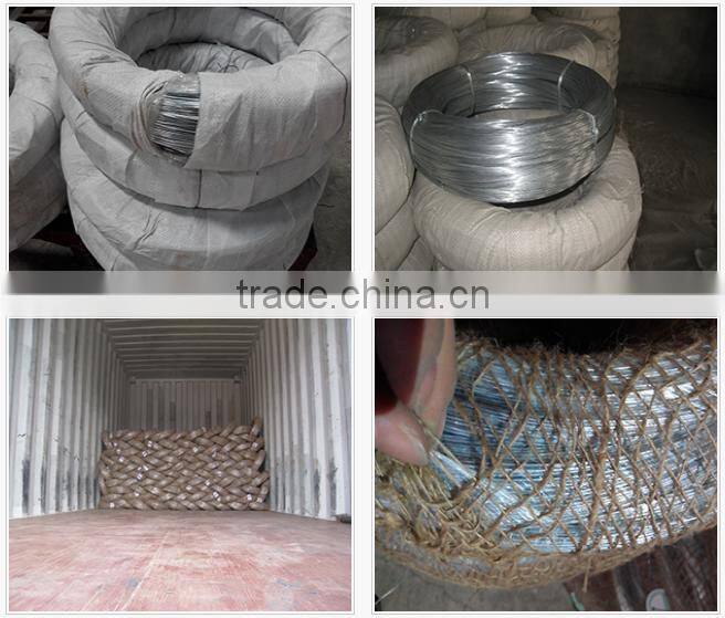 factory direct galvanized carbon steel wire iron wire with cheap price