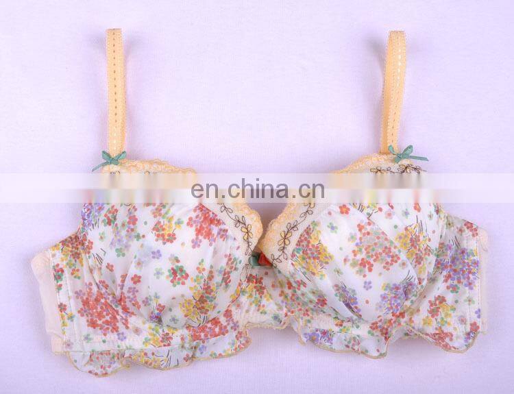 Beautiful Bra Sexy Bra Design/Women Hot Images Sexy Bra