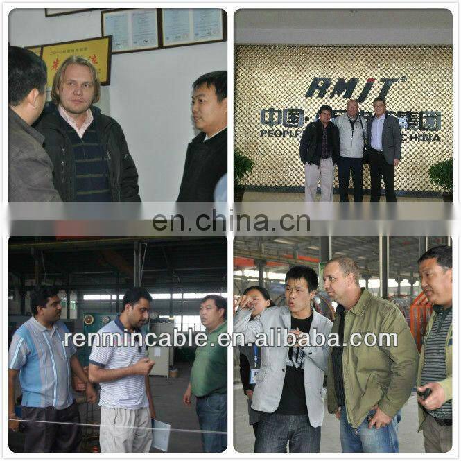 high tensile Galvanized Steel Strand wire mesh 3mm price