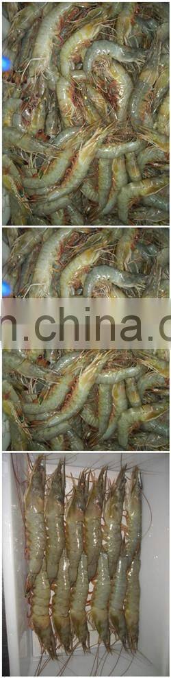 2019 Hot sale IQF single double spiral Freezer for shrimp with CE certificate