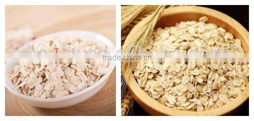 vacuum powder continuous dryer for oatmeal