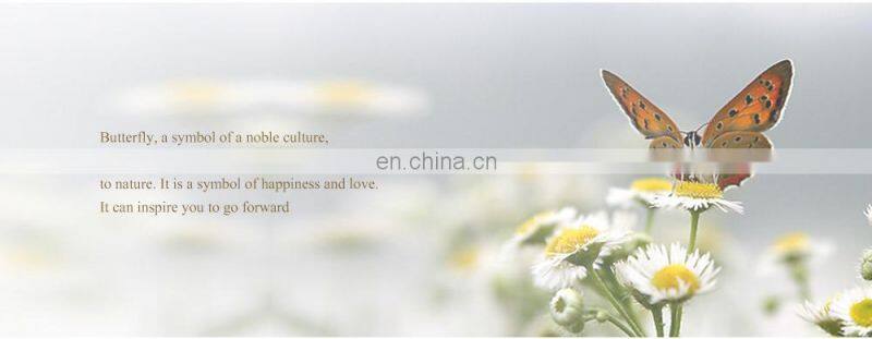 Hannah Martin 13620 Women Watch Luxury 3D Butterfly Rose Gold Mesh Strap Japanese Movement Waterproof Quartz Women Wristwatch