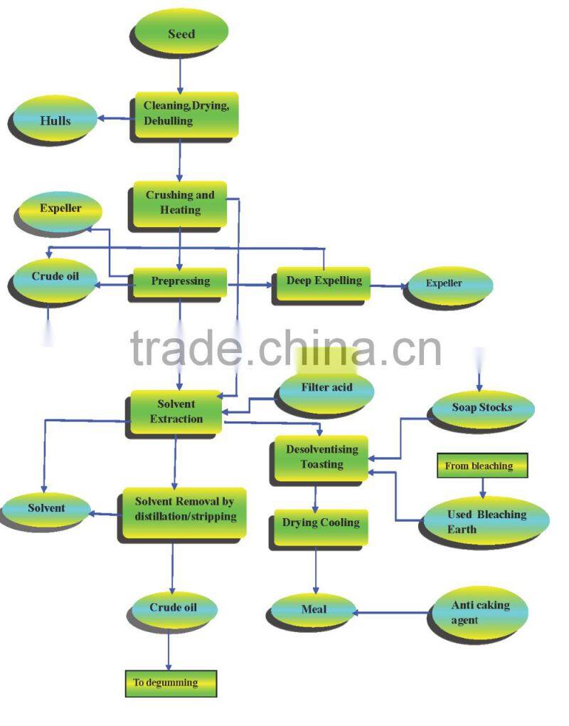 New Lead turnkey project cotton seeds oil processing equipment for sale
