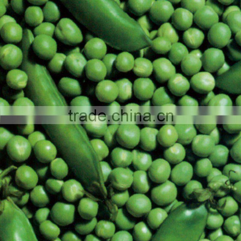 canned green soya beans