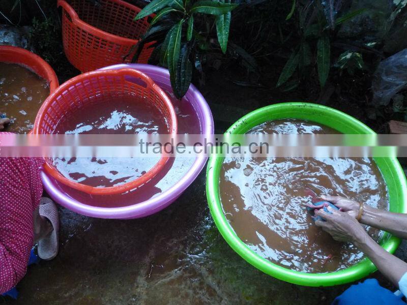 FRESH PURPLE SWEET POTATO - HIGH QUALITY - GOOD PRICE