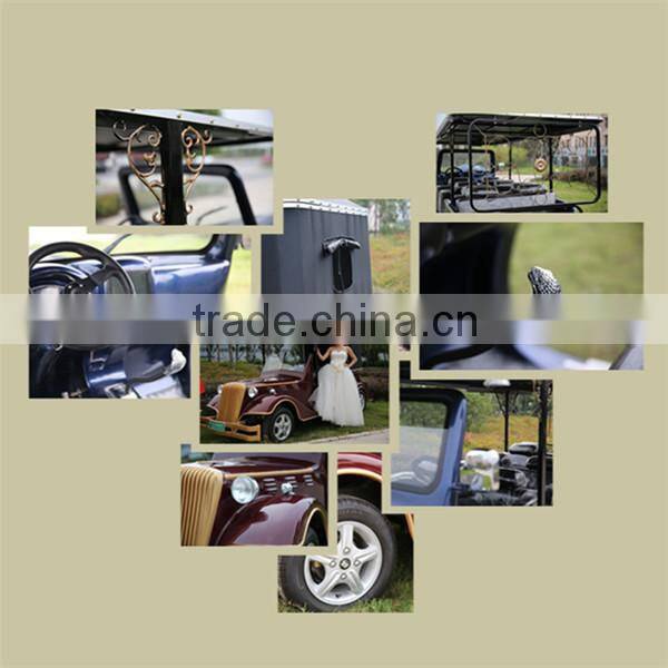 8 Seats electric recreational vehicle for sale