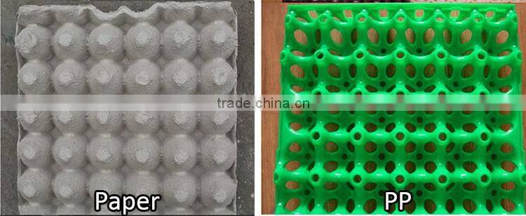 New technology plastic trays for eggs