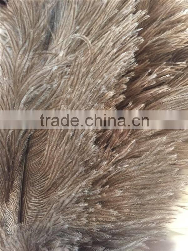 Single Color Feather Duster