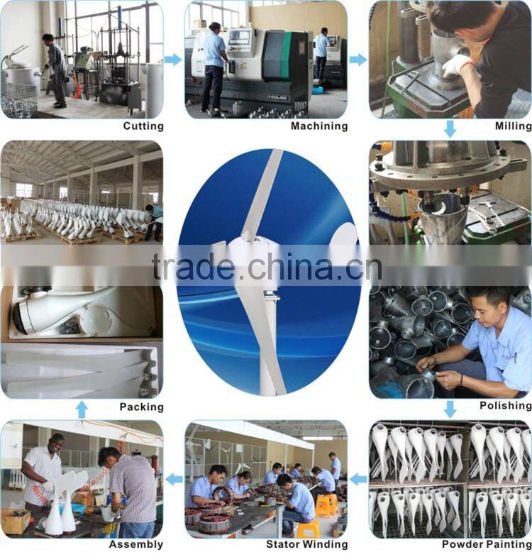 100w portable wind generator 12v 24v