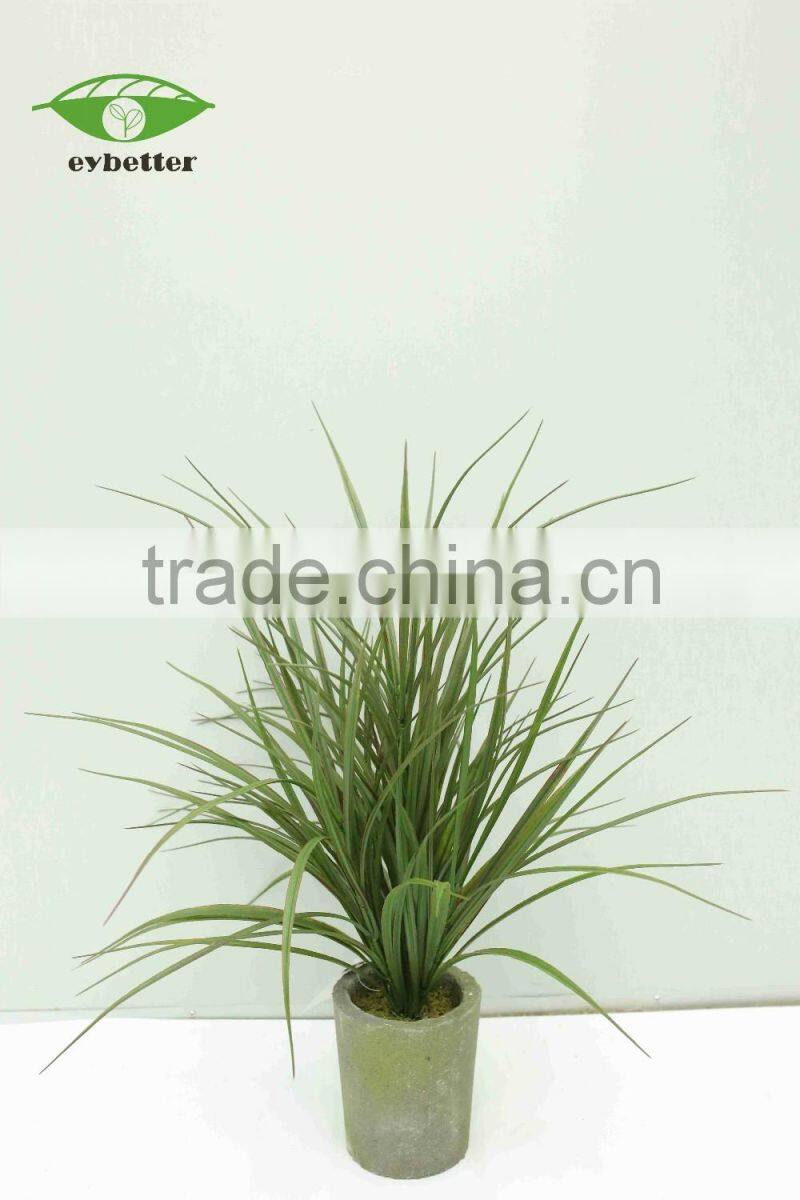 hot selling narture green bonsai plants wholesale for garden decoration