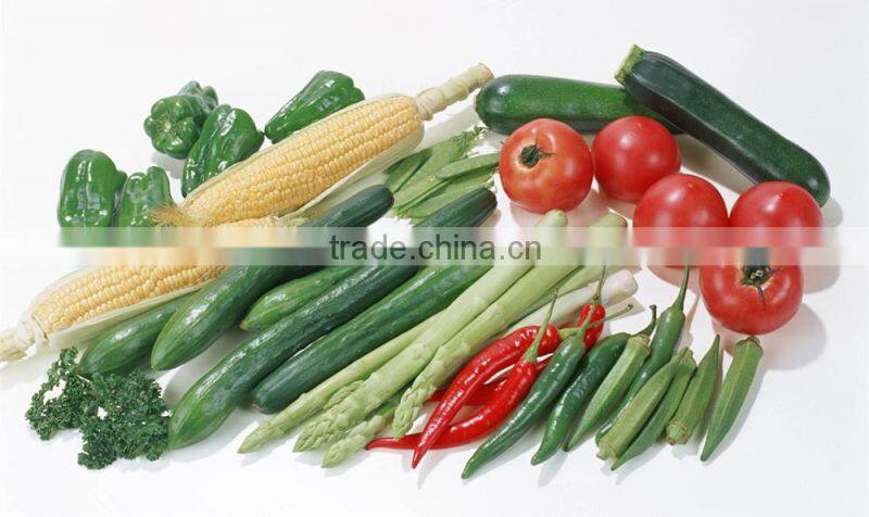 Vacuum Food Packing Machine For Fruit and Vegetables