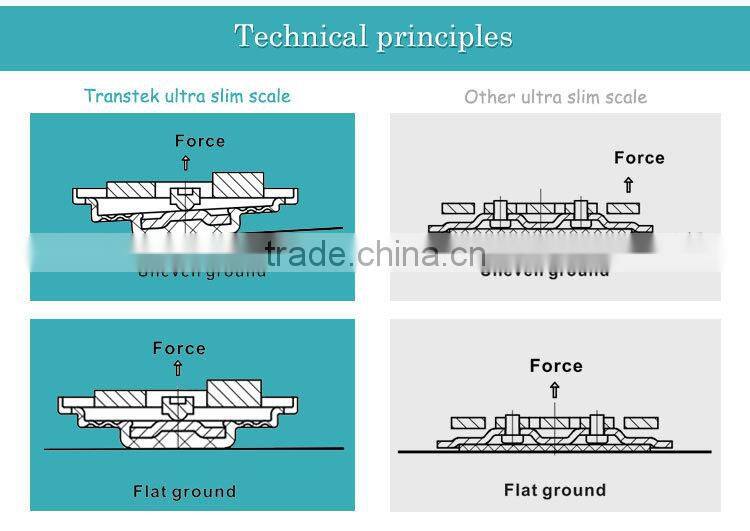 transtek body health analyzer digital body scale