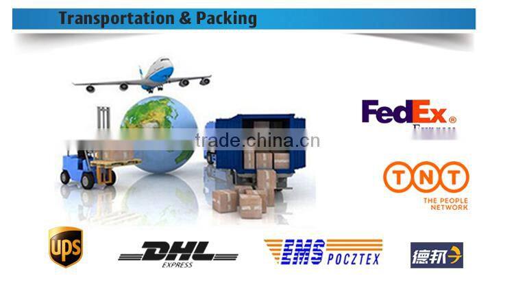 OA6146 Museum Use Exhibition Dinosaur Skeleton Fossil