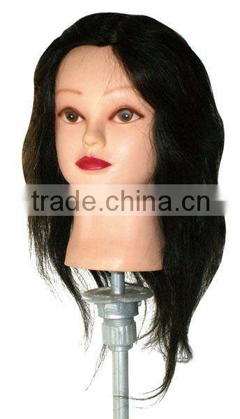 Professional salon human hair traning head,wig N014,N015,N016