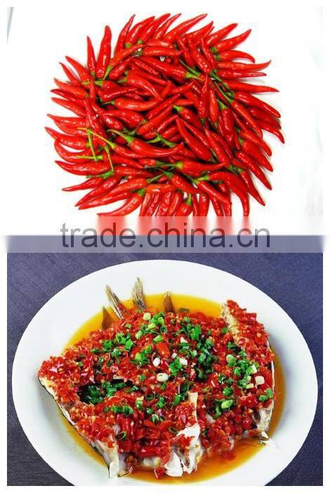 Kosher 60ml Chinese pepper spicy sauce supplier
