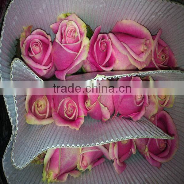 wholesale natural rose flower from Kunming flower base