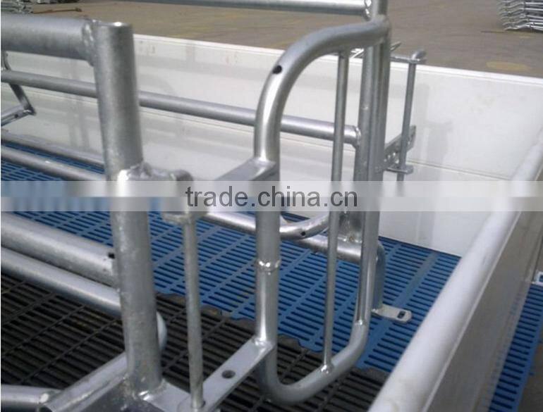 Farrowing Crates Cool Cell Pig Equipment