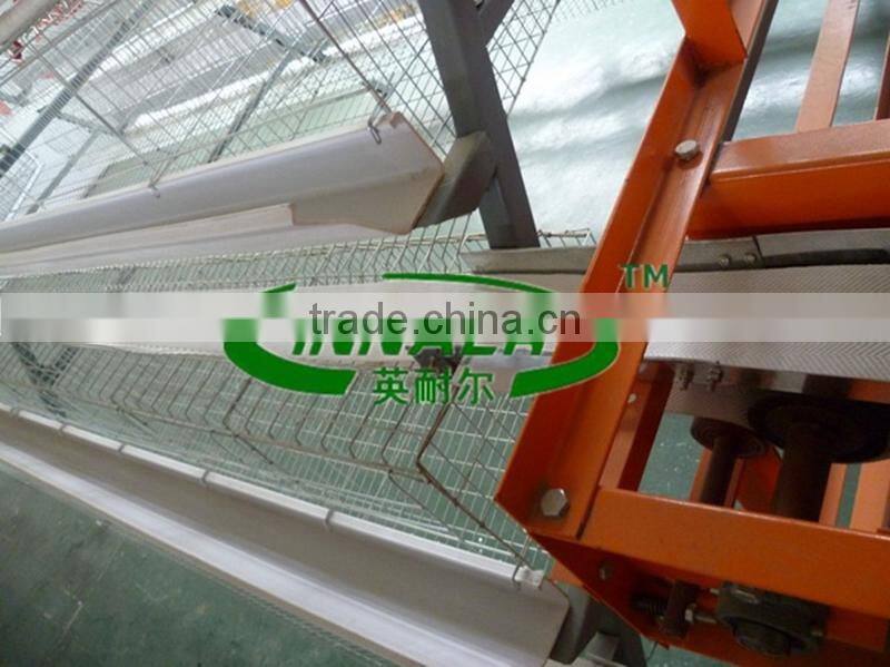 Automatic Egg Collect Machine for Poultry Farm