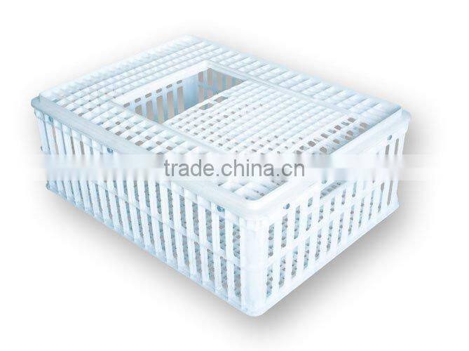 Economy transportation Coop