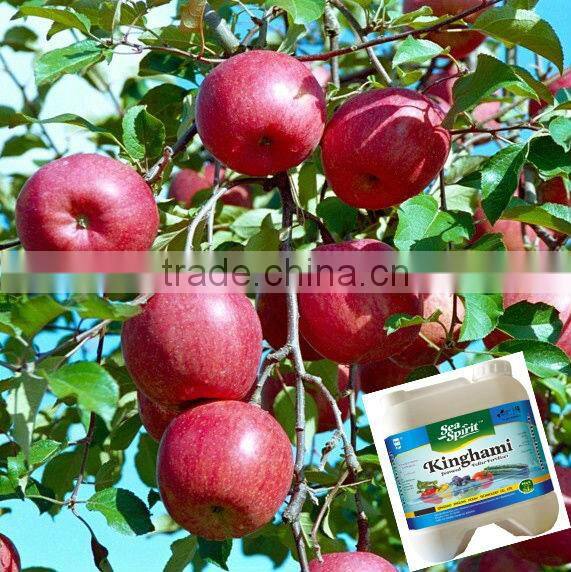 Amino acid organic fertilizer