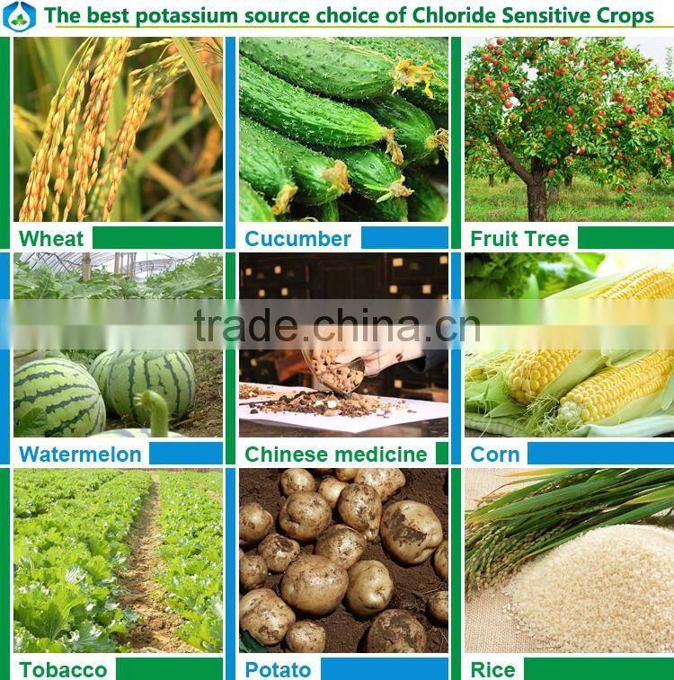 best agriculture grade Potassium Sulphate 50% fertilizer powder