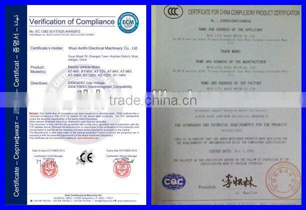 self balancing motor, electric self balancing motor, electric self balancing scooter motor, amthi