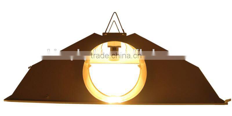 CE Authorized 1000w 600w 400w 250w HPS Grow Light Bulbs/HPS Grow Lighting/Grow Light Lamp