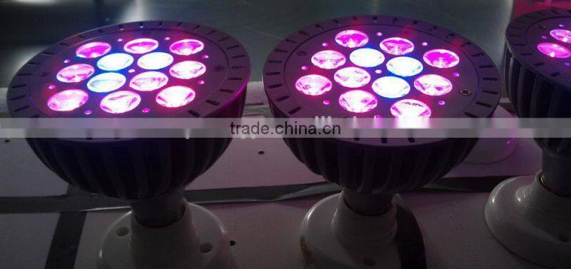 12W par38 led chicken farming lamp red blue full spectrum led grow light