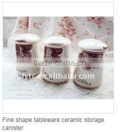 top grade embossment ceramic canister