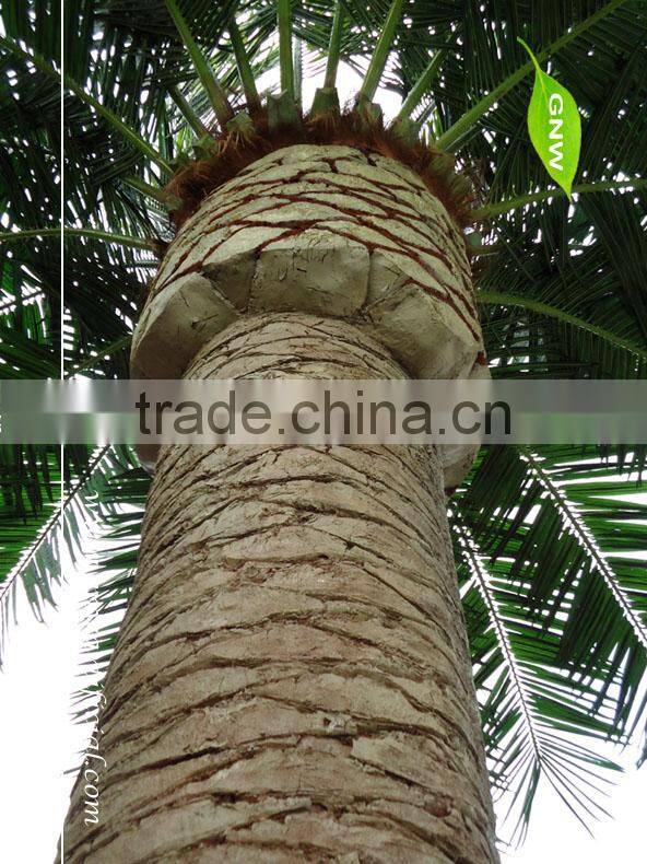 GNW APM030 washingtonia robusta palm tree for christmas ornaments on sale