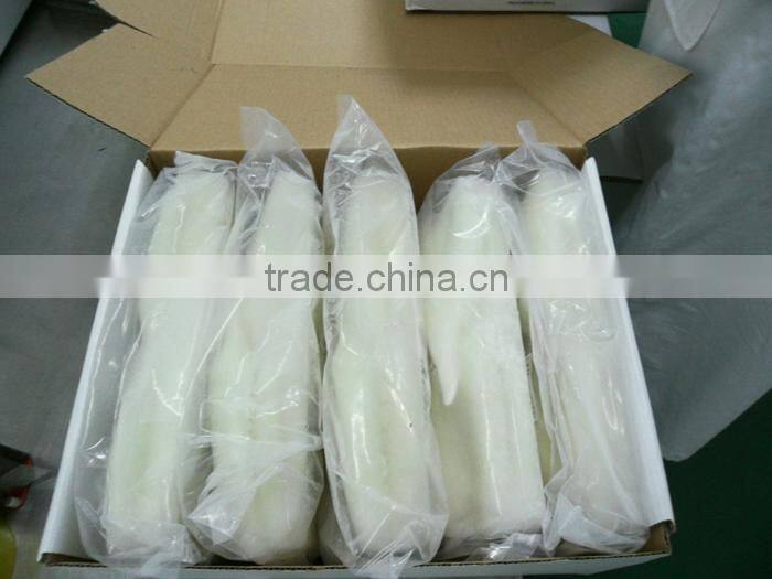 frozen Squid tube-Todarodes Pacificus