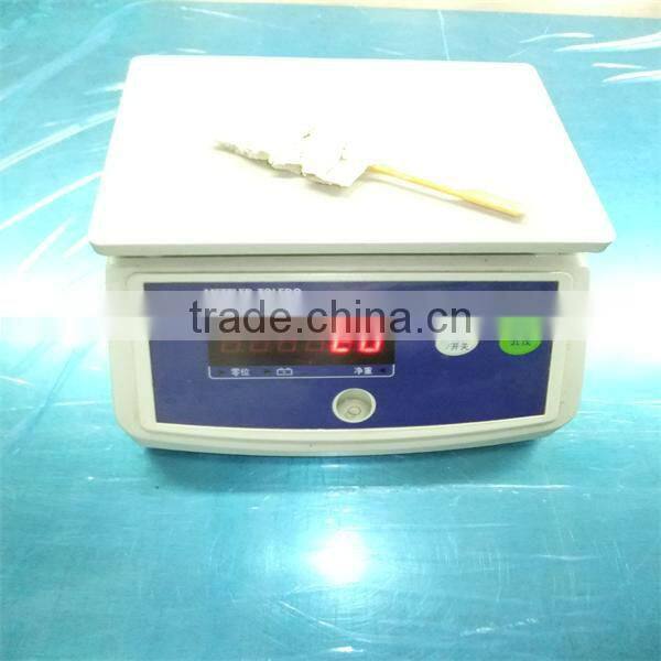 seafood frozen giant squid fillet