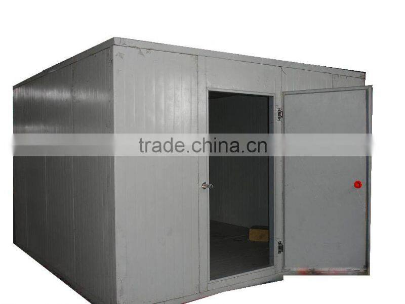 PU walk in cold room