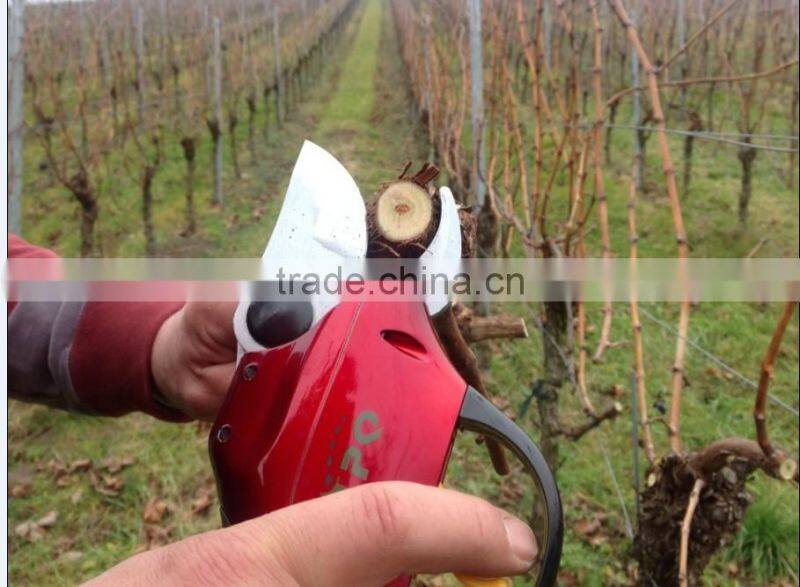 Telescopic branch pruning shears