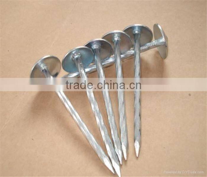 galvanized screw Umbrella head roofing nails