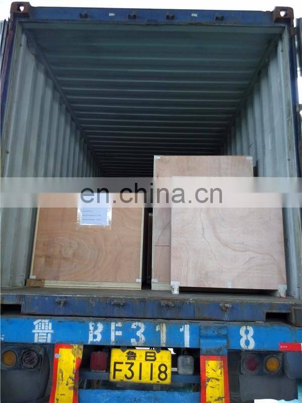 fruit dryers / fruit drying machines