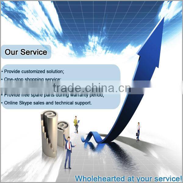 1KW wind energy alternator