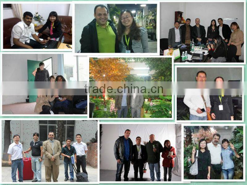 High Simulation Artificial bonsai tree /artificial bonsai fruit tree by yafei