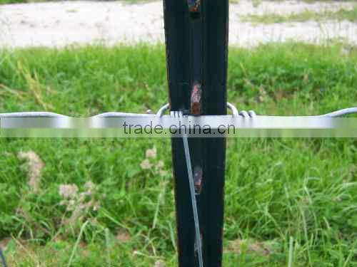 0.95lb/ft green painted t post fence