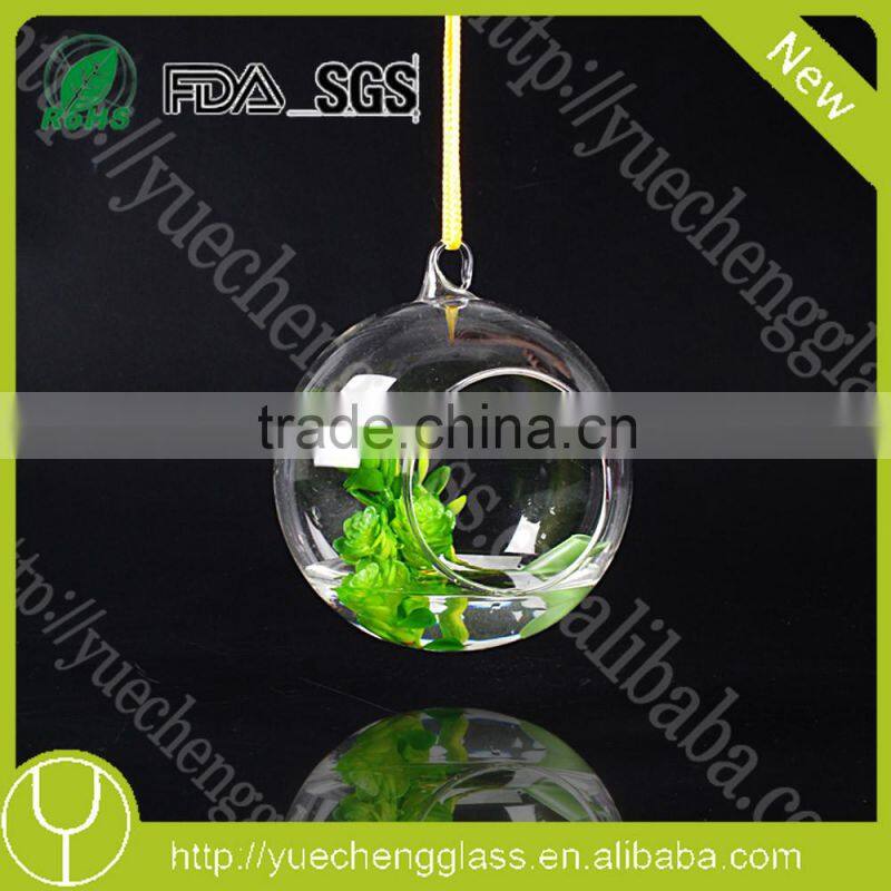modern hanging teardrop shaped clear glass vase
