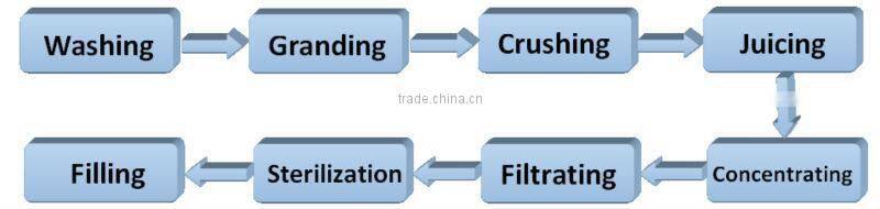 concentrated juice machine apple juice orange juice lemon juice