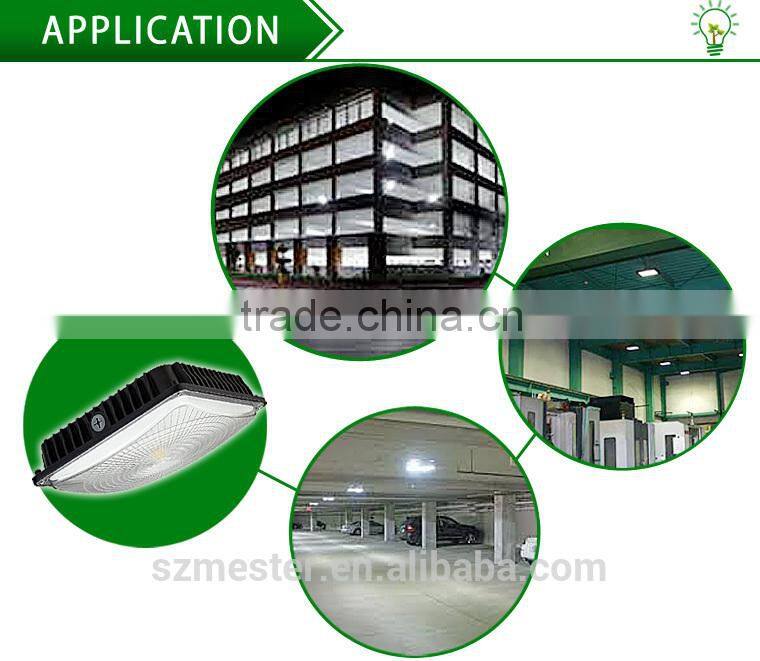 2015 new canopy light with ultra-thin size high quanlity retrofit led canopy light