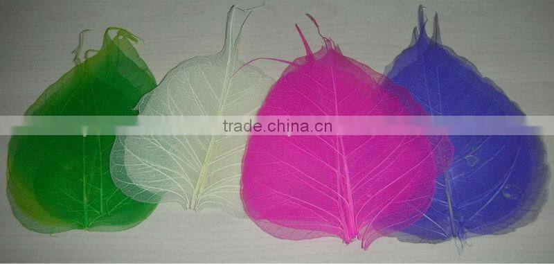 Dry leaf for wall decoration