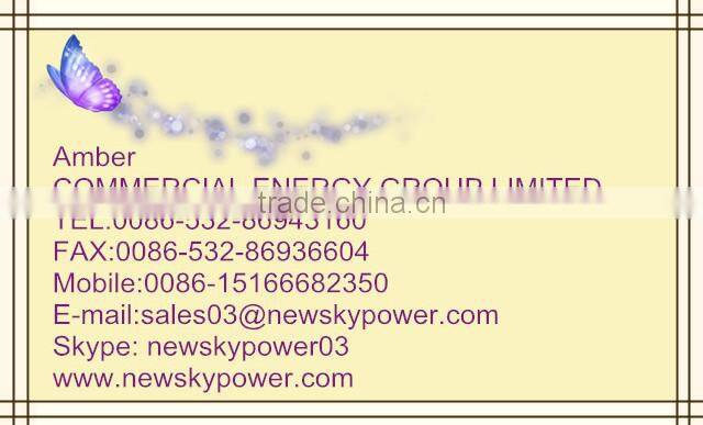 1kw wind generator,wind generatorat low cost,New energy&family