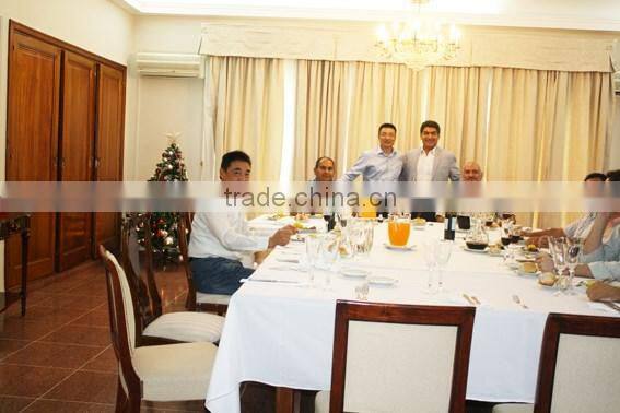 Solar panel laminator used in solar panel manufacturing line